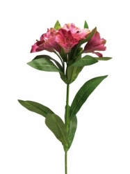 Alstromeria 82 cm