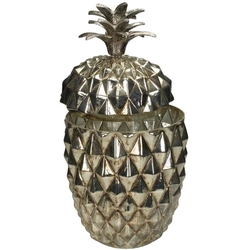 Dóza ananas